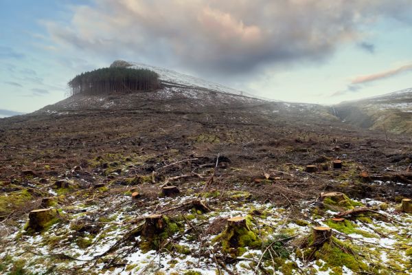 Cost of Hill Removal in Hudson